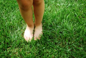 Kreukelz bloete voeten gras